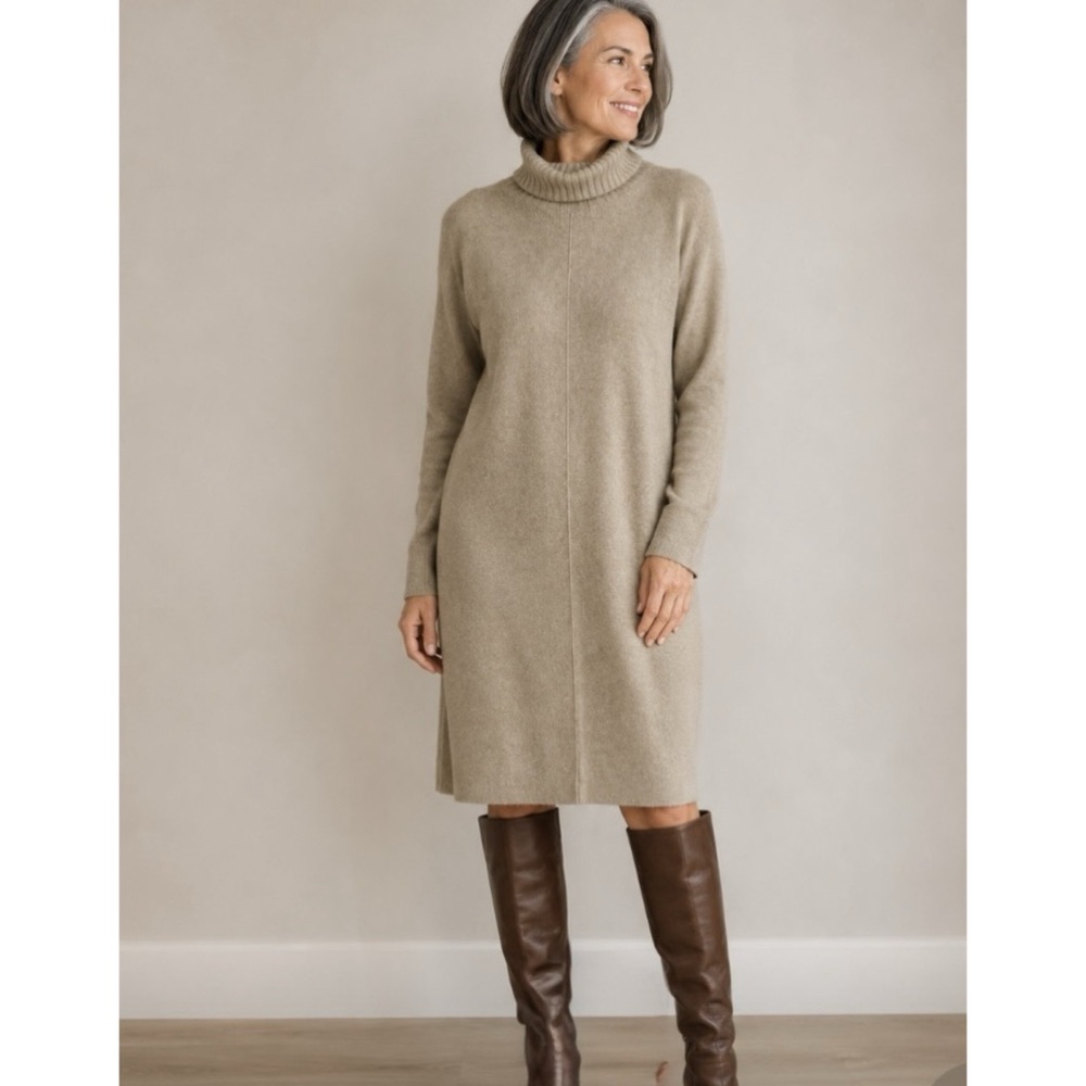BROCHU WALKER Turtle Neck Sweater Dress Long Sleeve In Taupe Size Small